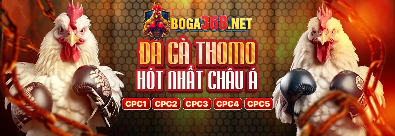 Đá gà trực tuyến kịch tính tại VG99 Code