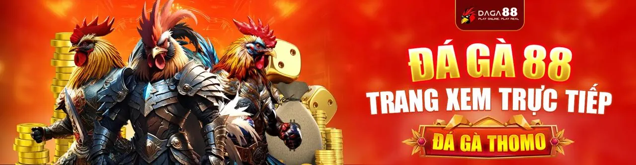 Đấu trường đá gà trực tuyến kịch tính tại VG99 Code